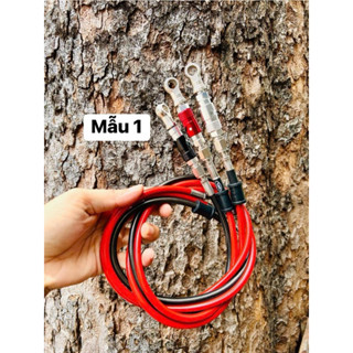 Dây Dầu HEL Bấm Đầu Inox Kèm Ngắt Dầu Bremb Trước 4 Mẫu