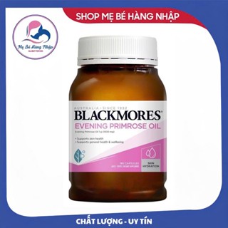 Hoa anh thảo Úc Blackmore 190v