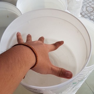 Thùng kem tròn dùng để nuôi cá ( có nắp và không nắp )