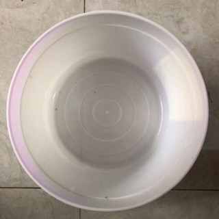 Thùng kem tròn dùng để nuôi cá ( có nắp và không nắp )