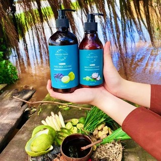 Dầu gội thảo mộc cô đặc (chai 500ml)