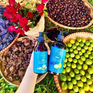 Dầu gội thảo mộc cô đặc (chai 500ml)