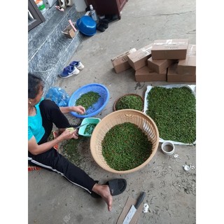 Ớt xiêm rừng tây bắc xóc muối