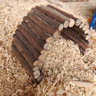 Thang Cây Vòm Gỗ Uốn Cong Tùy Ý Hamster,Ốc Mượn Hồn