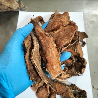 Móp gai khô 1kg - Hàng công ty chất lượng cao - giá tốt nhất thị trường