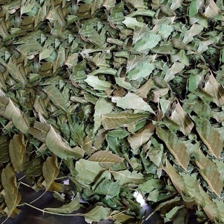 Lá neem ấn độ khô túi 1kg - Trà thơm chất lượng cao