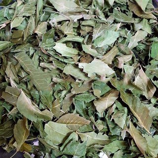 Lá neem ấn độ khô túi 1kg - Trà thơm chất lượng cao