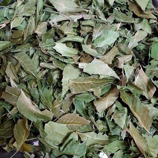 Lá neem ấn độ khô túi 1kg - Trà thơm chất lượng cao