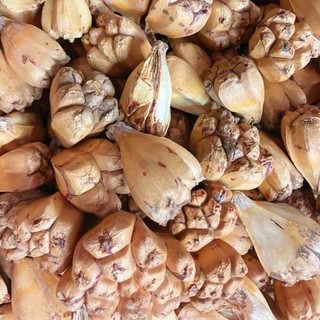 Dứa dại sấy khô 500g - Hàng khô tự nhiên - chất lượng cao