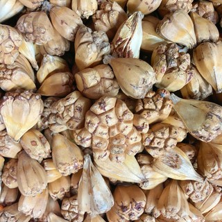 Dứa dại sấy khô 500g - Hàng khô tự nhiên - chất lượng cao