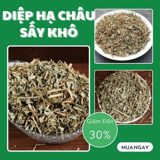 Diệp hạ châu khô 1kg - Thảo dược khô chất lượng cao - hàng loại 1 tốt cho sức khỏe