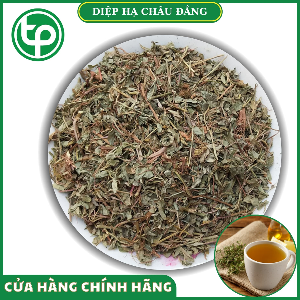 Diệp hạ châu khô 1kg - Thảo dược khô chất lượng cao - hàng loại 1 tốt cho sức khỏe