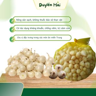 Củ nén (hành tăm) miền Trung loại 1