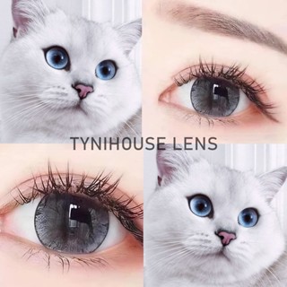 Kính Áp Tròng Lens Mắt XÁM Tro Mắt Mèo ICY GRAY Size Giãn To 14.5mm Cận [0-8] Kèm Khay Giá 1 Cặp