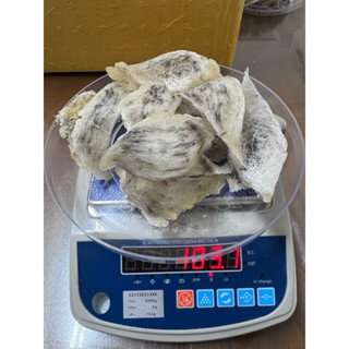 Tổ yến thô loại 1 + tặng kèm đồ chưng, yến sào Phương Mai, yến nhà nuôi