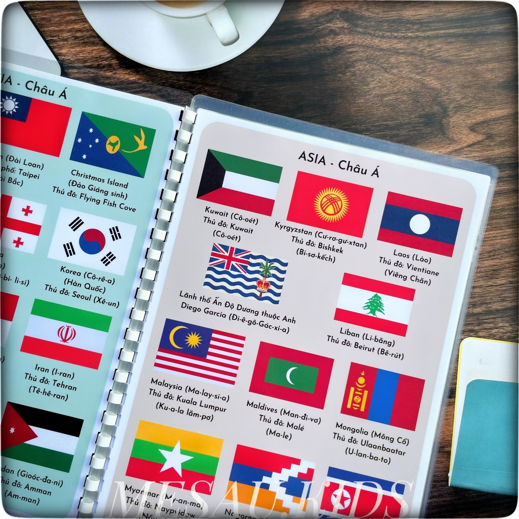 Học Liệu Quốc Kỳ Các Quốc Gia - Đồ Chơi Giáo Dục Phát Triển Trí Tuệ Cờ Các Nước Cho Bé Phát Triển Tư Duy MEDUAKIDS