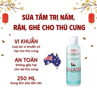  Sữa tắm trị nấm viêm da DermCare Malaseb 100ml cho chó mèo 