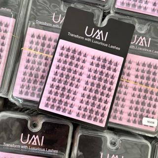 Lông Mi UMi NV99 MỚI lông Mi NhiVi NV99