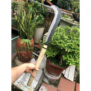 Dao chặt cây phát cỏ cán gỗ