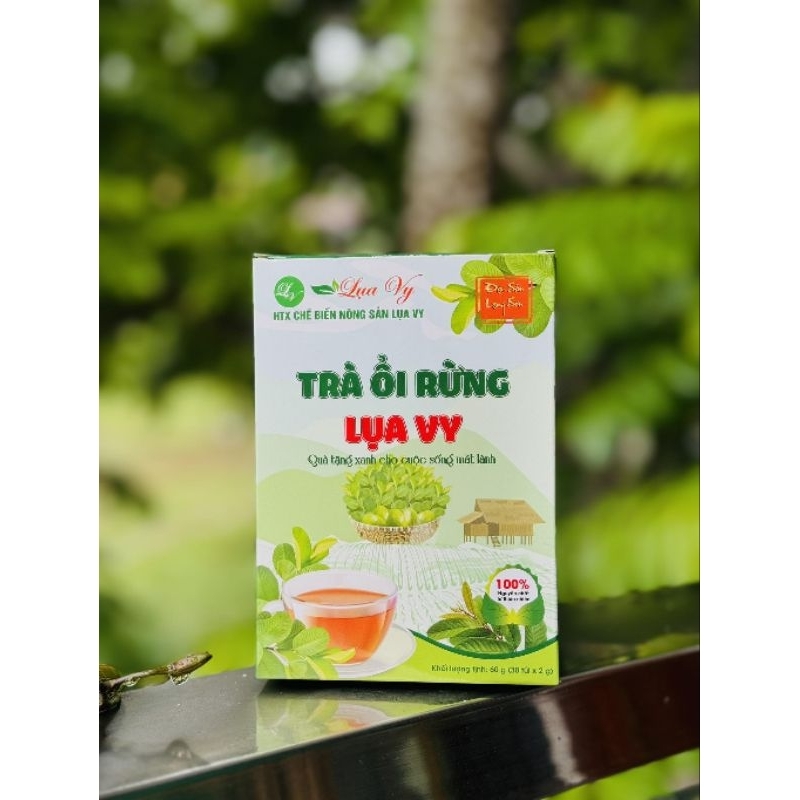 trà ổi lụa vy