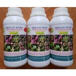 CHẾ PHẨM SHELLAC SUGER 500ML CHUYÊN DÙNG CHO CÂY ĂN QUẢ, THÚC ĐẨY MẦM HOA, TĂNG ĐẬU QUẢ