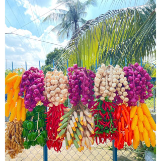 Dây hành tỏi ớt, rau củ, trái cây dùng trang trí quán ăn, quán sinh tố, decor sự kiện, trường mầm non