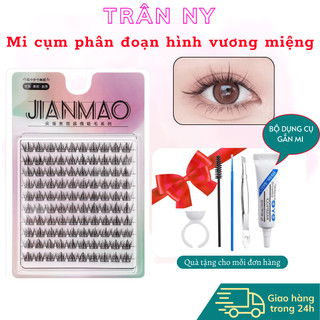  Mi tự nối T35 Lông mi hình vương miệng mi giả tự nhiên dài 13mm 