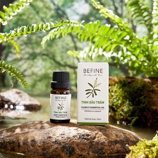 Tinh Dầu Tràm Gió Befine Nguyên Chất Giàu Cineol 10ML