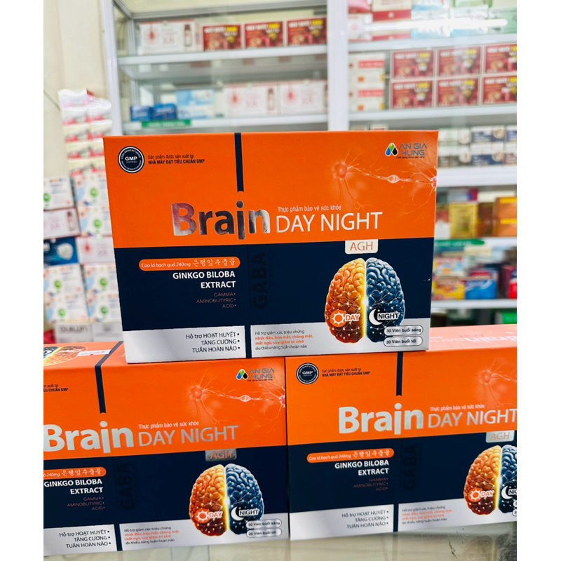 BỔ NÃO: BRAIN. GINKGO BILOBA. Tằng cường tuần hoàn máu não.