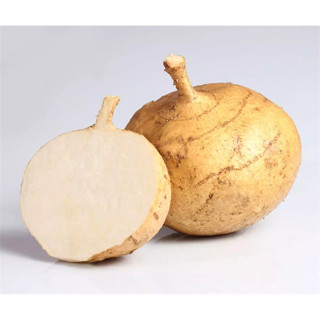 HẠT GIỐNG CỦ ĐẬU TRÒN 500gram - CỦ TO ĐẸP ĐỀU , TỶ LỆ NẢY MẦM CAO