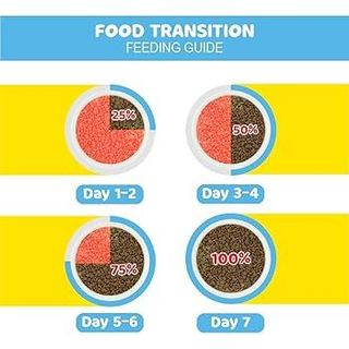 ME-O Thức ăn dành cho mèo con 1,1kg