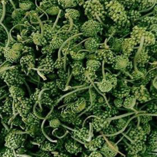 250g Nụ tam thất bao tử Sapa Loại 1 sấy xanh Hàng Công ty Thảo Dược Việt