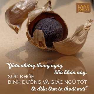 Tỏi Đen Cô Đơn Nguyên Vỏ 200gr LANDFOOD'S, Hỗ Trợ Tăng Đề Kháng, Ngăn Ngừa Ung Thư, Hàng Cao Cấp Xuất Khẩu, Chu Thị