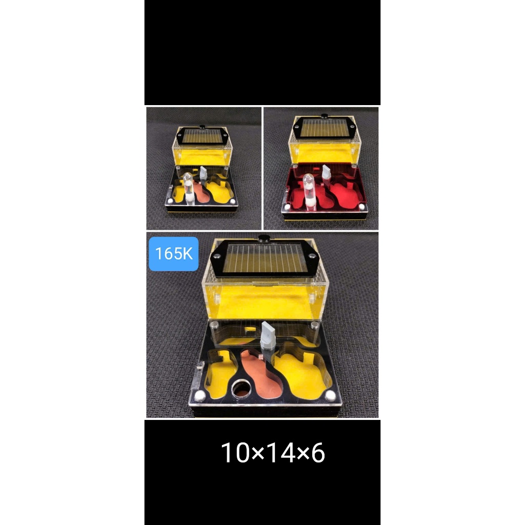 Tank nuôi kiến N01 mica - hộp nuôi kiến N01 mica