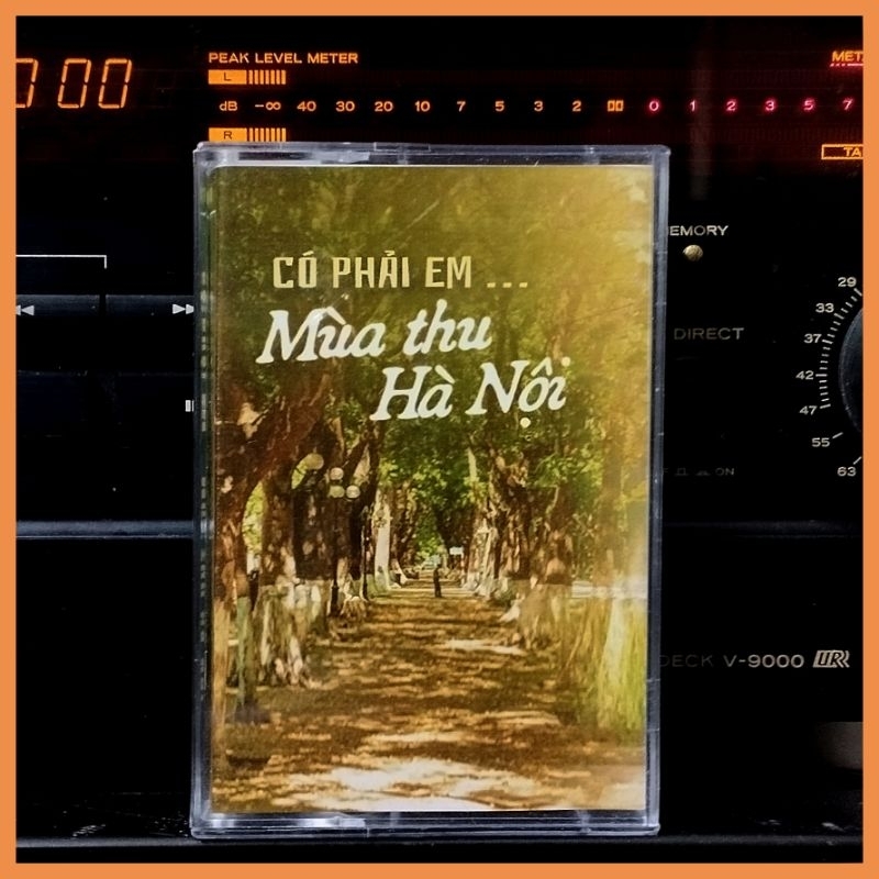 Có Phải Em Mùa Thu Hà Nội