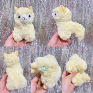 gấu bông lạc đà Alpaca