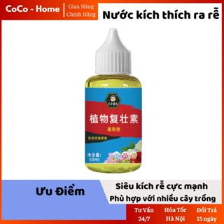 Thuốc kích rễ cây kích thích ra rễ cực mạnh, nước kích thích mọc rễ, phục hồi cây yếu, giúp cây tăng trưởng 50ml - KR01