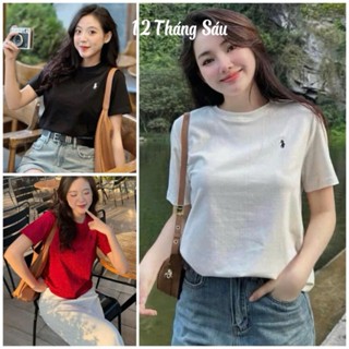 Áo thun babytee nữ thêu hình ngựa, áo phông baby tee cổ tròn tay ngắn chất cotton zip nhiều màu 126 store-Ma 291