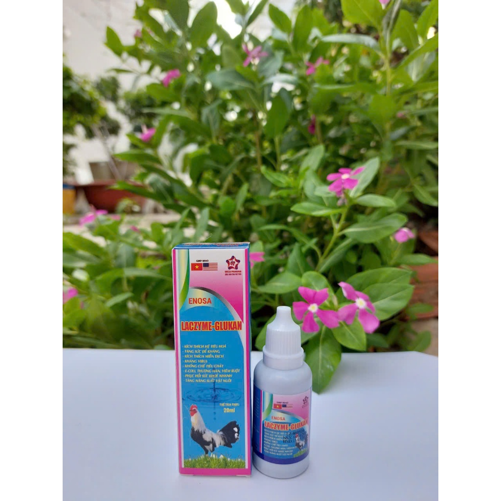Men nước Laczyme-Glukan 20ml