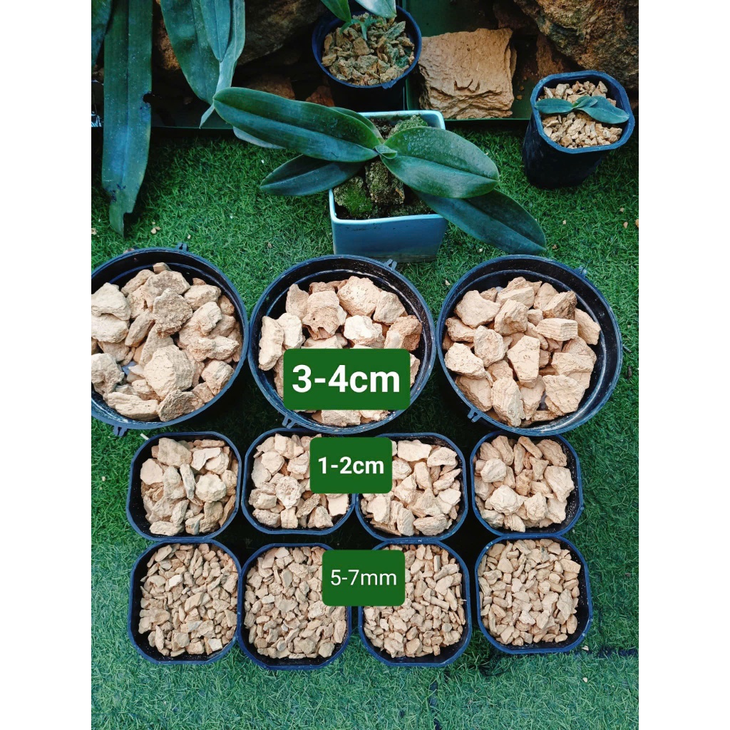 1kg đá thấm thủy trồng địa lan, lan hài