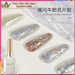  Sơn nhũ XEIJAYI 15ml chất gel kim tuyến lấp lánh siêu đẹp. 