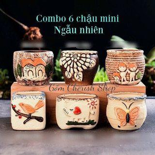 Sét 6 chậu ngẫu nhiên trồng cây cảnh, sen đá, xương rồng cây mini