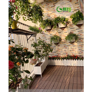 CHẬU NHỰA HÀNG RÀO TRỒNG HOA KT 31x15x11cm phòng khách, sân vườn