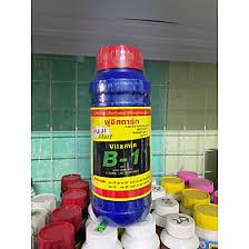 VITAMIN B1 CHUYÊN DÙNG CHO CÂY TRỒNG CHAI XANH 1 LÍT