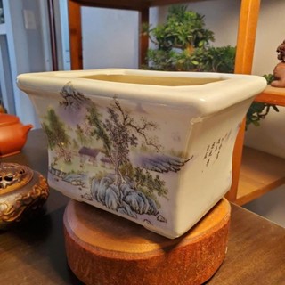 Chậu trồng cây bonsai