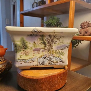Chậu trồng cây bonsai