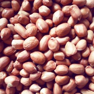  1KG ĐẬU PHỘNG SỐNG   ĐỖ LẠC SỐNG _ Hàng loại 1 chuẩn đẹp _ đậu phộng giá sỉ _  nông sản giá sỉ 