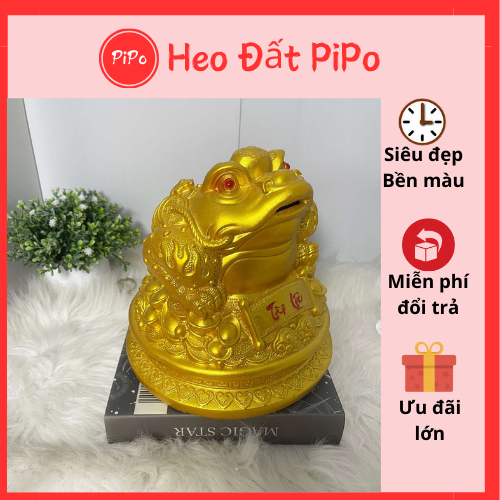 Heo Tiết kiệm CÓC VÀNG KIM TIỀN Size trung - decor trang trí -làm quà tặng- Heo Đất PiPo