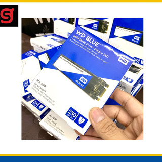 Ổ Cứng SSD Western Blue 250GB Chuẩn M.2 3D NAND New Seal USA