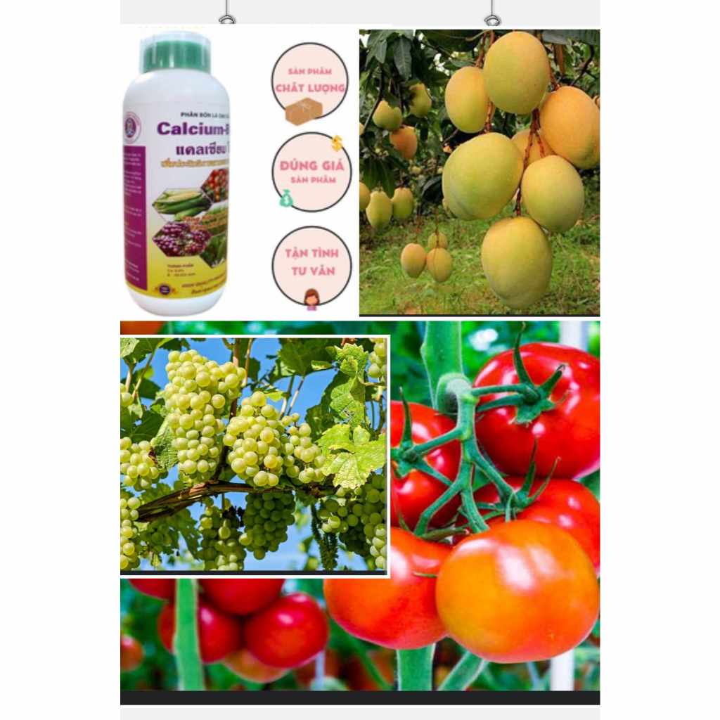 Phân bón lá sinh học Calcium BORON 500ml